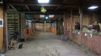 /album/fotogalerie-hodinova-jizda-na-koni/konici-32-jpg/